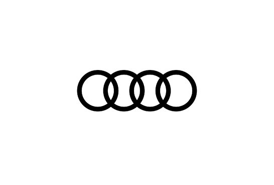 Audi Logo HoC 1